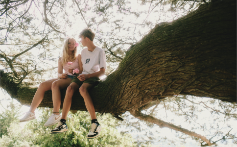 Zoomed out couple in tree