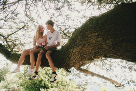 Zoomed out couple in tree